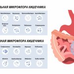 Бактерии и микроорганизмы.jpg