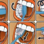 Инфографика как чистить молочные зубы