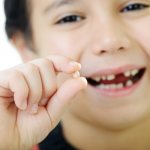 When does the first baby tooth fall out?