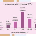 Normal HCG Levels During Pregnancy