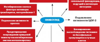 Drawing. Basic mechanisms of action of nimesulide 