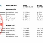 teeth changing pattern