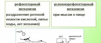 Composition of human saliva: normal indicators of biological fluid