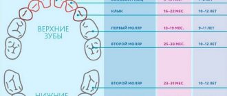 Timing of appearance of temporary teeth