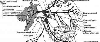 Ветви тройничного нерва схема