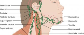 Oropharyngeal and posterior cervical lymph nodes